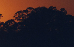 Sunrises to Sunsets - Lanscape photographer, Brisbane
